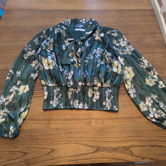 EUC Greylin Anthropologie womens medium Estelle tie neck blouse green floral - Picture 2 of 8